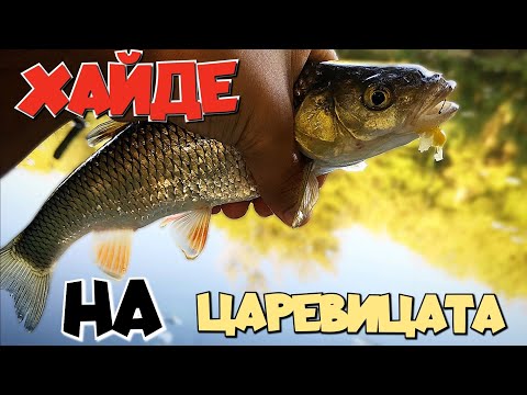 Видео: КЕФАЛИ на ЦАРЕВИЦА. РЕЧЕН  РИБОЛОВ на ПЛУВКА!