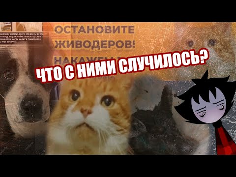 Видео: Человеческая ЖЕСТОКОСТЬ не знает границ | Темень интернета #2