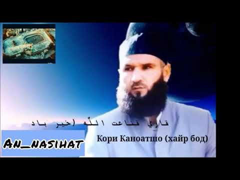 Видео: Қори Қаноатшоҳ - Навмед машав банда!