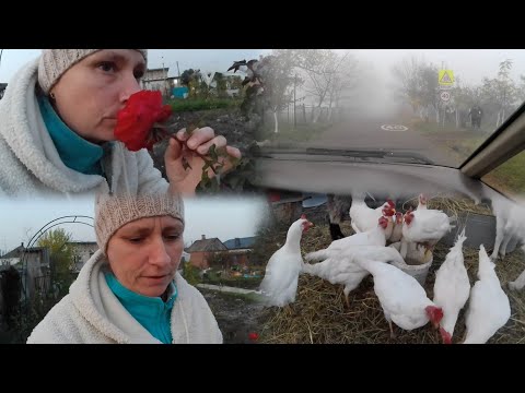 Видео: Жизнь в деревне