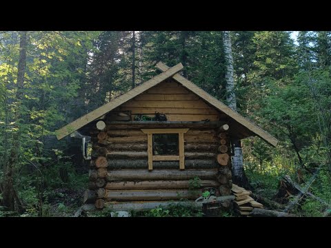 Видео: ЖИВУ КРУГЛЫЙ ГОД В ТАЙГЕ. БЫТ И РАБОЧИЕ ТАЁЖНЫЕ БУДНИ. РЕМОНТ ИЗБЫ.