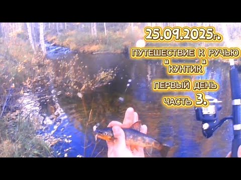 Видео: ФОРЕЛЬ. ПУТЕШЕСТВИЕ К РУЧЬЮ "КУНТИК". ПОКЛЕВКА ЗА ПОКЛЕВКОЙ. #форель #recommended #fishing #рыбалка