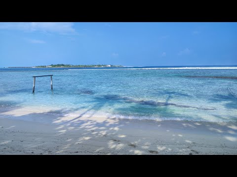 Видео: Локальный остров Тулусду (Thulusdhoo). Мальдивы