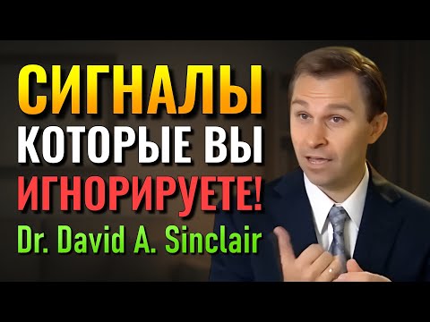 Видео: Ваше тело пытается предупредить вас срочно (Др. Дэвид Синклер)