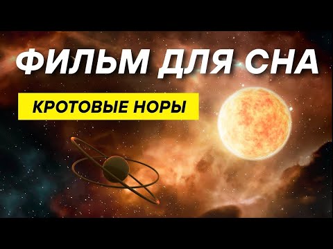 Видео: ДЛЯ СНА 😴 Может ли кротовая нора соединять разные вселенные