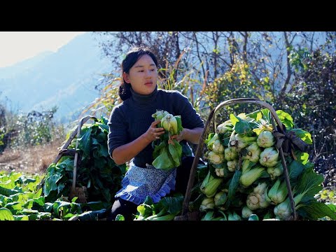 Видео: Сушеные овощи | Самые обычные сушеные овощи, напоминает нашу короткую и насыщенную жизнь.