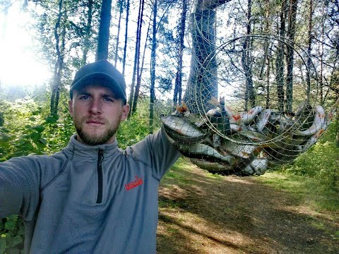 Видео: ЛОВЛЯ ОКУНЯ НА ЖИВЦА! ОКУНЬ КАК ИЗ ПУЛЕМЁТА! ЯНОВСКОЕ 2019!