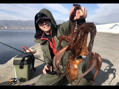Видео: За октоподи в Гърция - втора част