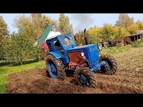 Видео: Осенняя пахота. Т40АМ.