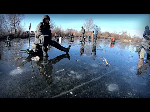 Видео: Всі зібралися тут! Знайшли стаю, та дубасимо її !!!