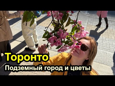 Видео: Фигуры из цветов в центре Торонто на день мамы