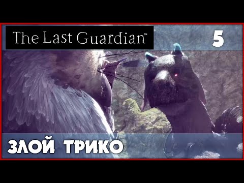 Видео: Трико не один такой! [The Last Guardian] PS5 #5