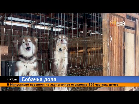 Видео: Десятки собак заперты в холодных вольерах под Красноярском