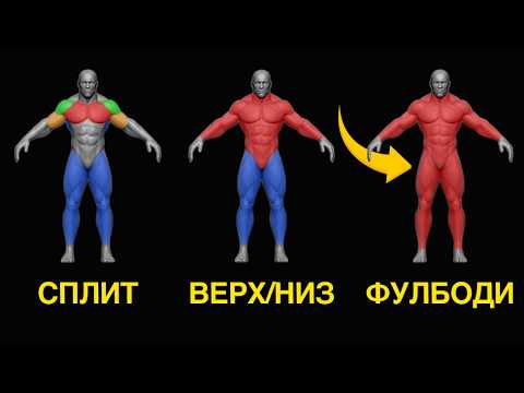 Видео: Фулл Боди или Сплит | Лучшее (научное) объяснение