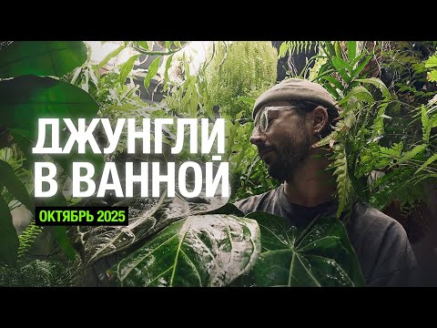Видео: ДЖУНГЛИ В ВАННОЙ / обзор растений / результаты тестирования препаратов
