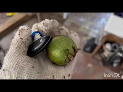 Видео: КУПИЛИ ХАТУ НА КУБАНИ🏡ДАЧНИКИ НА МОРЕ🏡18-я серия
