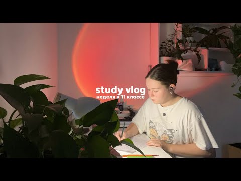 Видео: study vlog// подготовка к егэ по обществу и истории// неделя в 11 классе