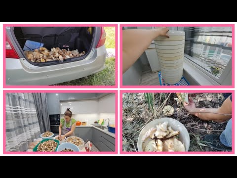 Видео: ПОТРУДИЛИСЬ НА СЛАВУ😃на ВСЮ ЗИМУ ХВАТИТ!!!