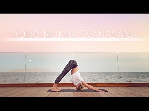 Видео: Адхо Мукха Шванасана. Асаны для начинающих. Собака мордой вниз с Дарьей Самойловой.