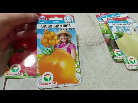 Видео: Обзор семян томатов 🥫 и огурцов 🥒🥒 на следующий огородный сезон 🍅🍅🍅