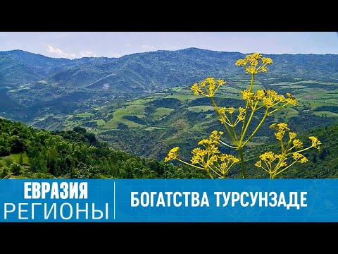 Видео: Богатства таджикского города Турсунзаде