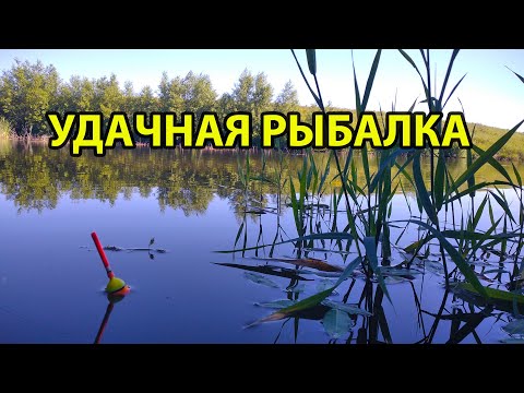 Видео: Хорошая рыбалка в конце августа 2022 !