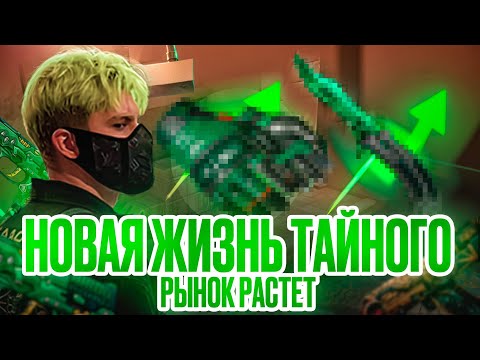 Видео: Что  будет с рынком cs2 дальше? Коррекция или рост ?