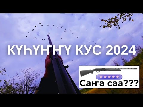 Видео: Күһүҥҥү кус 2024 Охота на уток в Якутии куьунну кус 2024