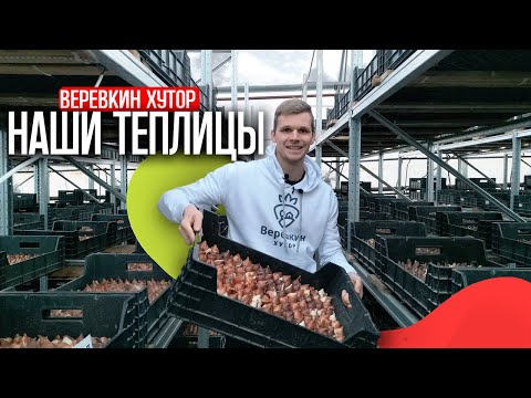 Видео: Наши теплицы