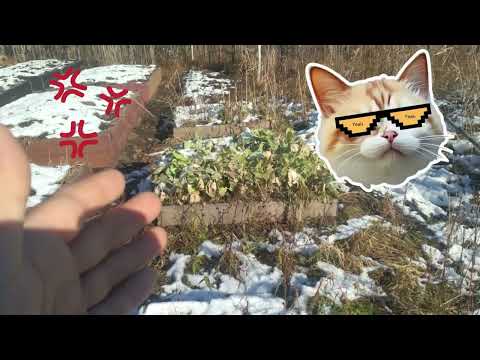 Видео: Октябрьский Снег на Даче: Финал Сезона и Готовим Огород к Зиме!