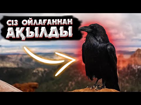 Видео: ӘЛЕМДЕГІ ЕҢ АҚЫЛДЫ 10 ЖАНУАРЛАР ТҮРІ | АДАМҒА АЙНАЛУҒА ӘРЕКЕТ ЖАСАҒАН МАЙМЫЛ