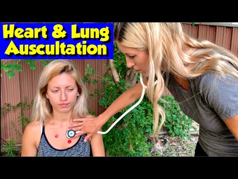 Видео: Аускультация сердца и легких: где разместить стетоскоп