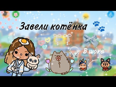 Видео: Завели котёнка 🫩🐾||новый петомец🤯🐾||тока иви 🎀