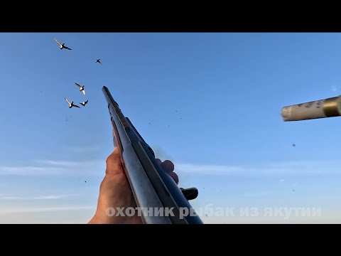 Видео: ЛУЧШИЕ ВЫСТРЕЛЫ - ОХОТА НА УТКУ 2025, ОТ КОЛЫМСКОГО ОХОТНИКА ДЕНИСА