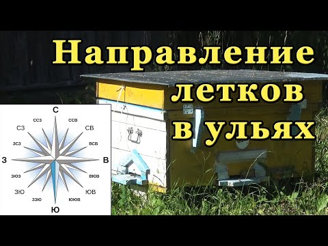 Видео: Направление летков в ульях. Куда направить леток улья