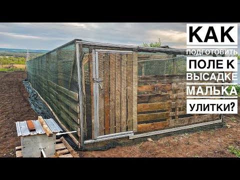 Видео: Подготовка поля к высадке малька улитки | Щиты Полив и Первые Всходы | Улитка Muller