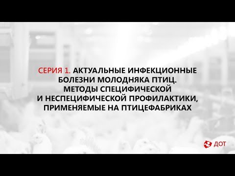 Видео: Джавадов Э.Д.: Инфекционные болезни молодняка птиц. Методы профилактики.