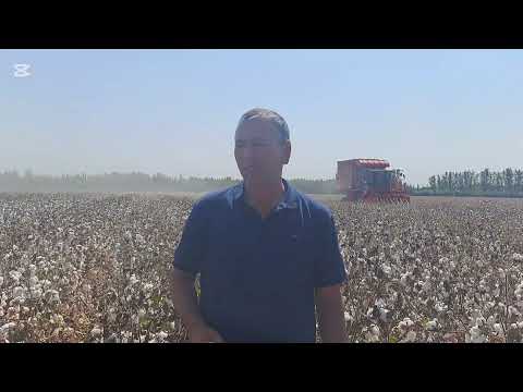 Видео: #Пахта_2025 #Ёзёвон_тумани #Фар_Зулфиқор_фх