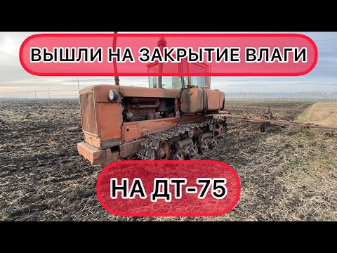 Видео: ДТ-75 на закрытии влаги. НАКОНЕЦ-ТО ВЫШЛИ В ПОЛЕ!!!