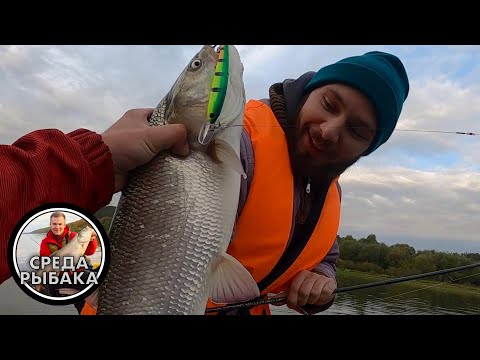 Видео: РЫБАЛКА ТРОЛЛИНГОМ | ЖЕРЕХ , СУДАК и ЩУКА на реке! ОСЕННИЙ ЖОР