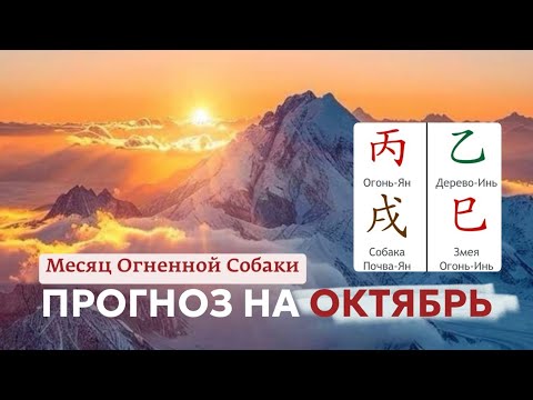 Видео: Прогноз на октябрь для каждого элемента личности по БаЦзы 