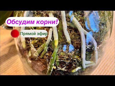 Видео: Жду вас ПРЯМО СЕЙЧАС!!! 🔥