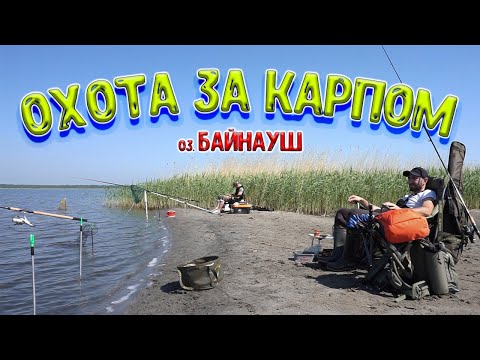 Видео: Рыбалка на карпа и карася, Оз. Байнауш