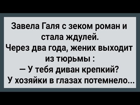 Видео: Как Ждуля из Тюрьмы Жениха Ждала! Сборник Свежих анекдотов! Юмор!