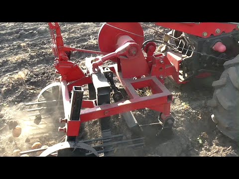 Видео: Копка картофеля мотоблоком 2020. Мотоблок и мини Т-16 в деле.