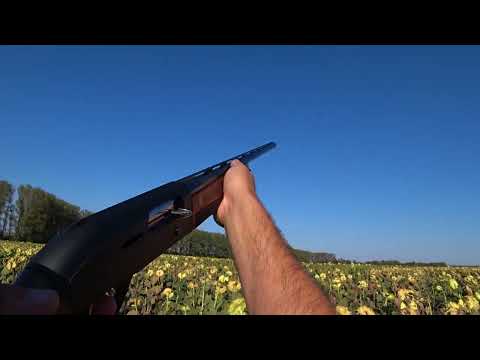 Видео: Мне кажется я нашел то самое!!!!!! о котором мечтал