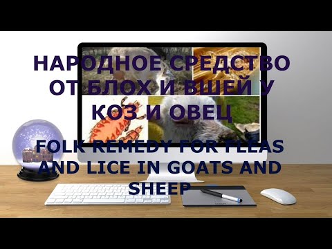 Видео: НАРОДНОЕ СРЕДСТВО ОТ БЛОХ И ВШЕЙ У КОЗ И ОВЕЦ