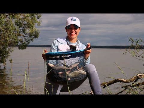 Видео: ВОЛНЫ ШУМЯТ, КЛЁВ ИДЕТ! Рыбалка на берегу водохранилища с ночёвкой. #511