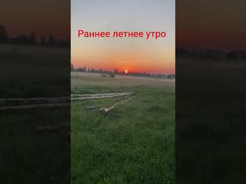 Видео: на восходе солнца # звуки приподы#восход#птицы#рань