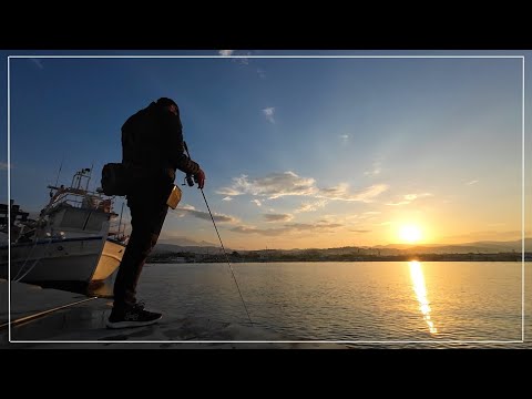 Видео: Сепии - лов и почистване